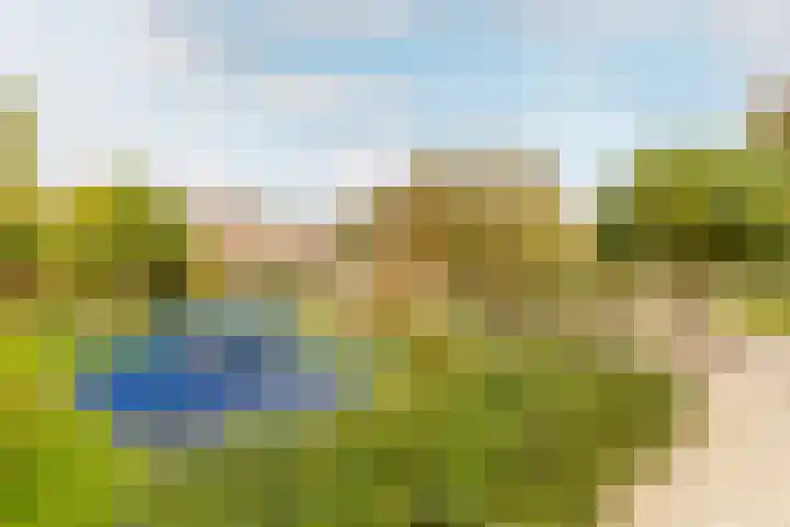 Rietgansstraat 3 Strijen thumbnail 4