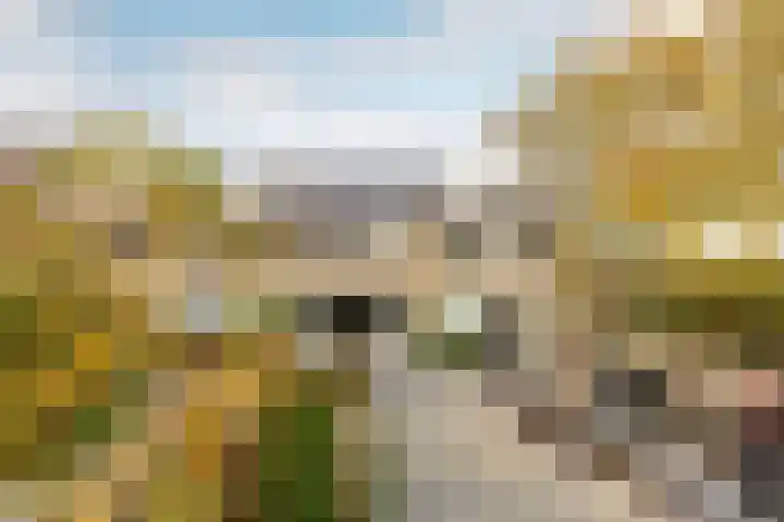 Rietgansstraat 3 Strijen thumbnail 5