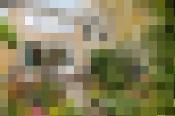 Rietgansstraat 3 Strijen thumbnail 6