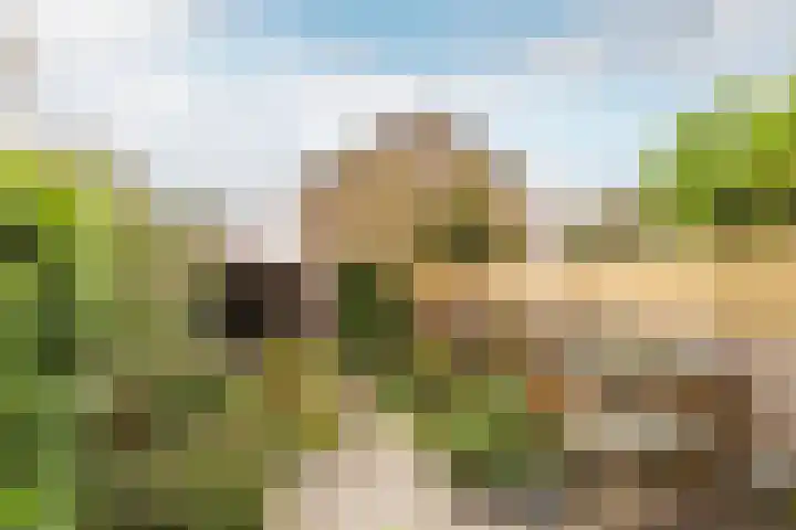 Rietgansstraat 3 Strijen thumbnail 7