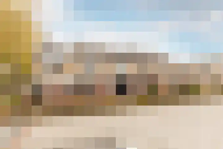 Rietgansstraat 3 Strijen thumbnail 8