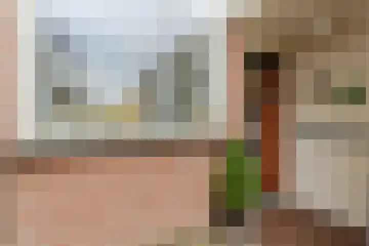 Rietgansstraat 3 Strijen thumbnail 9