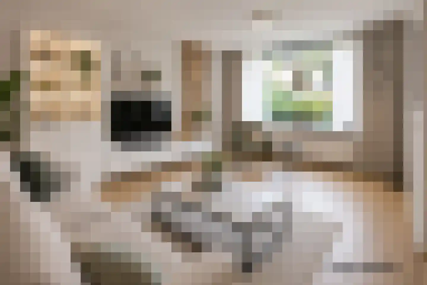 Rietgansstraat 31 Ermelo thumbnail 16