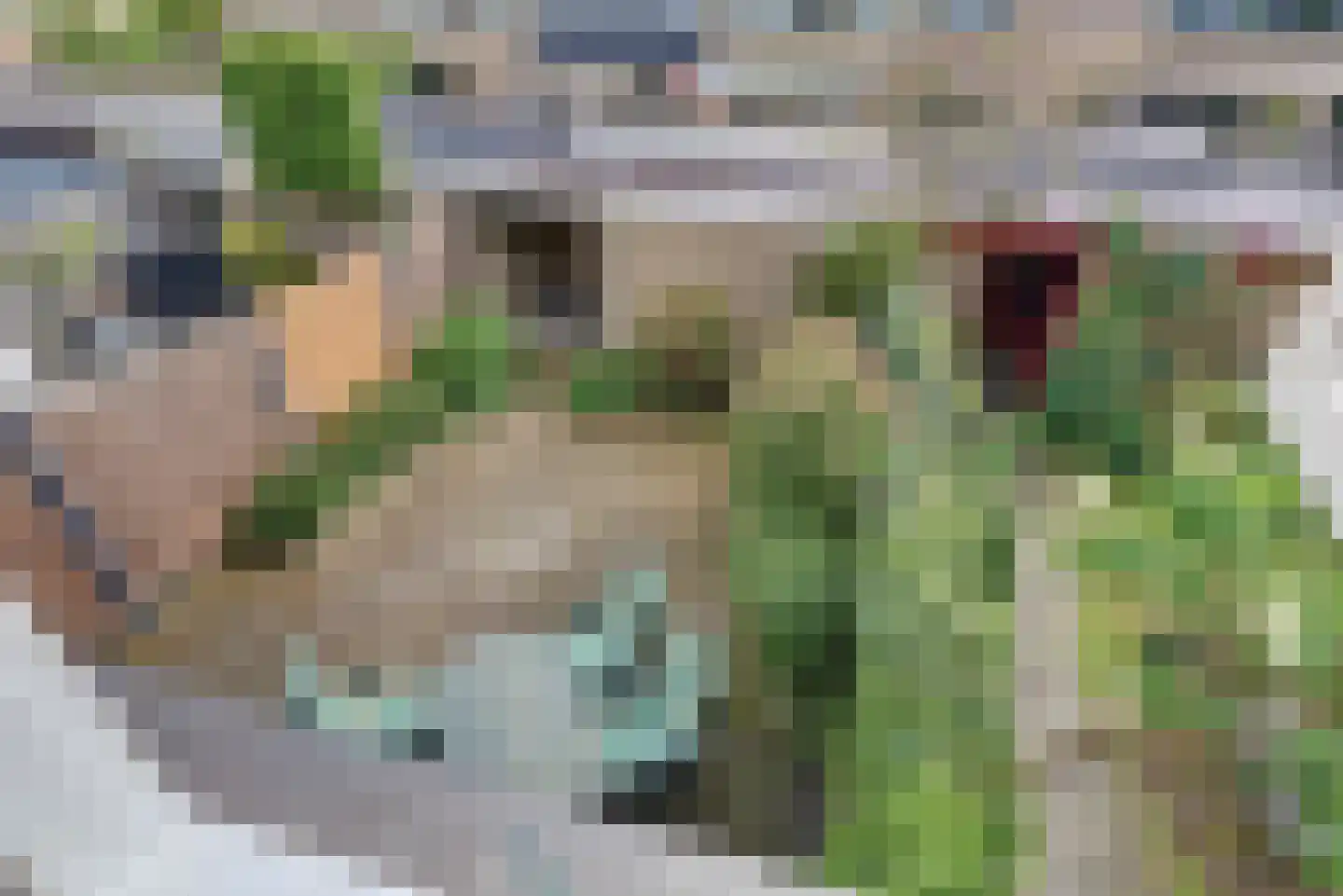 Rietgansstraat 31 Ermelo thumbnail 36