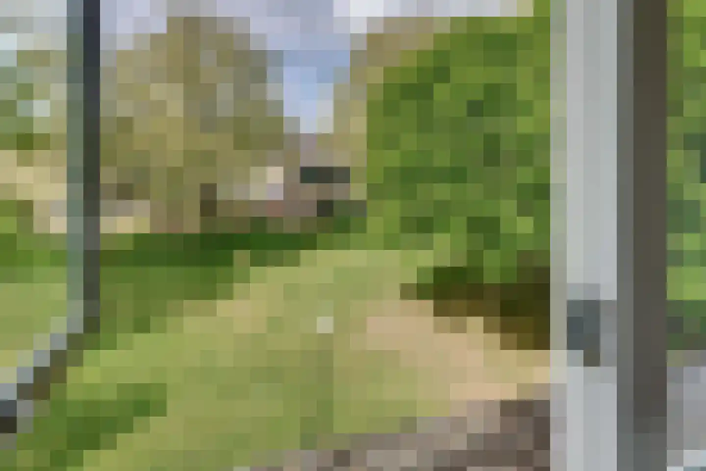 Rietgansstraat 31 Ermelo thumbnail 47