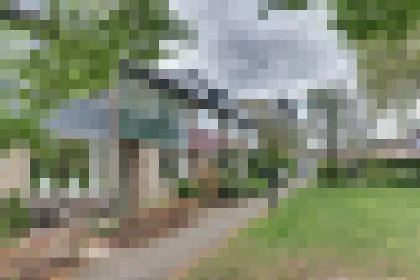 Rietgansstraat 31 Ermelo thumbnail 55