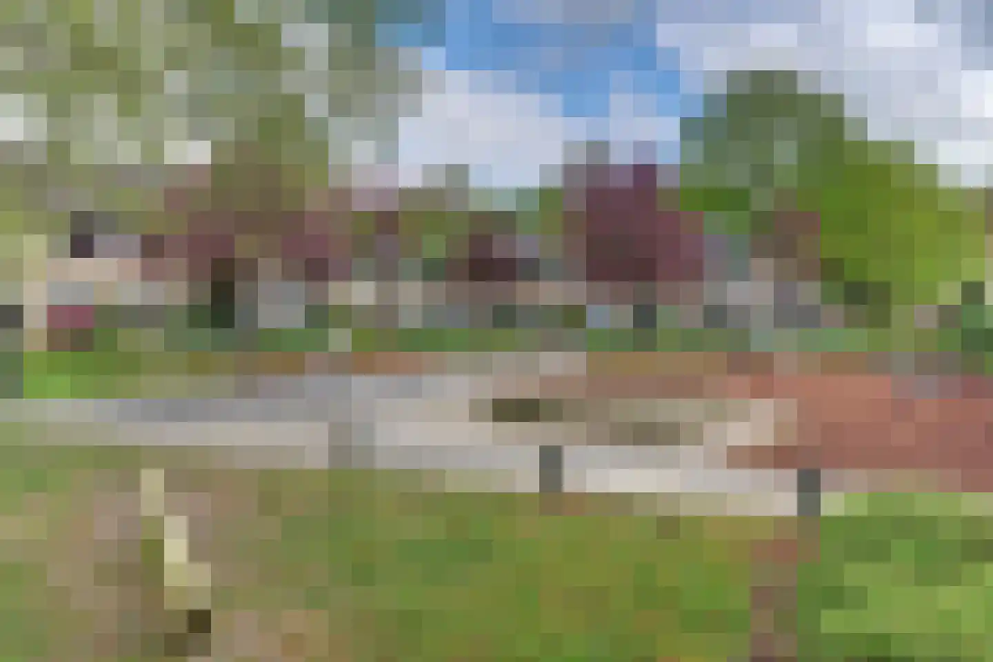 Rietgansstraat 31 Ermelo thumbnail 58