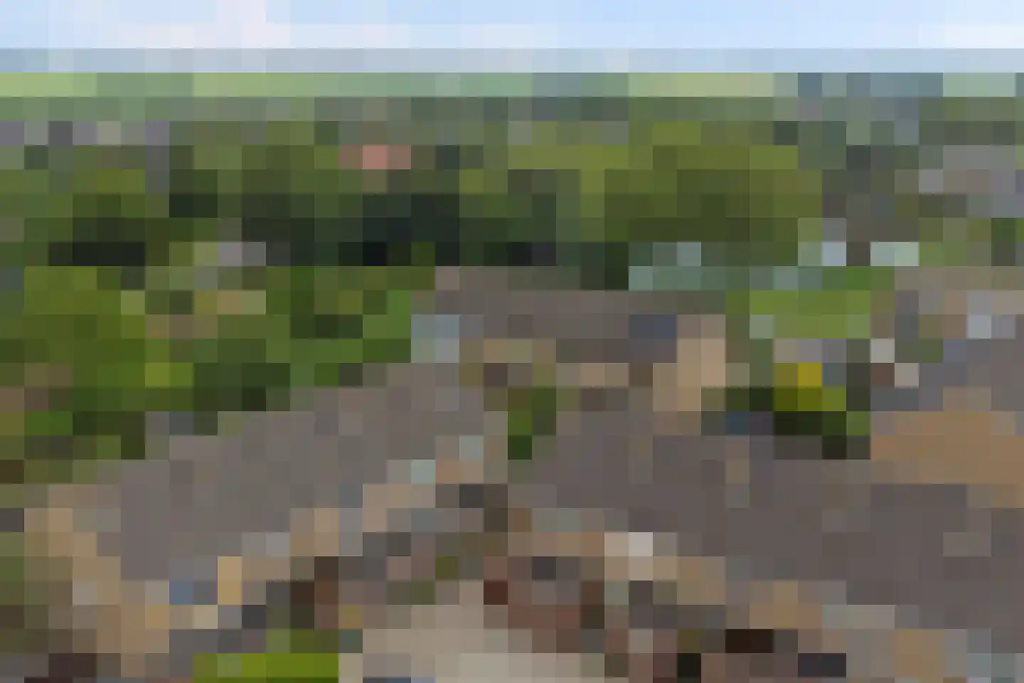 Rietgansstraat 31 Strijen thumbnail 10