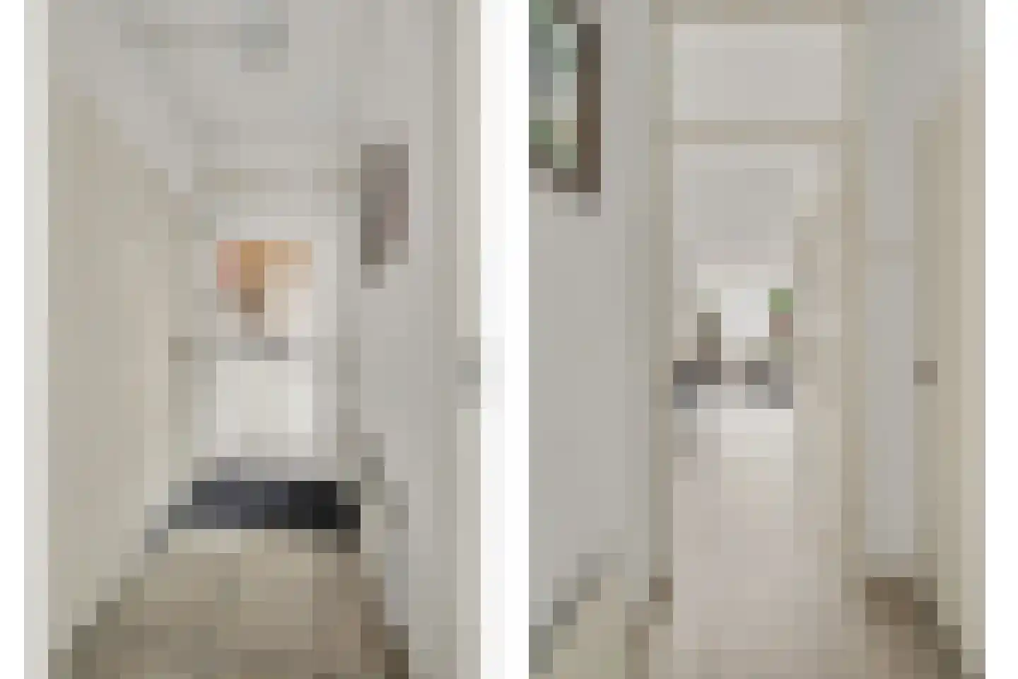 Rietgansstraat 31 Strijen thumbnail 12
