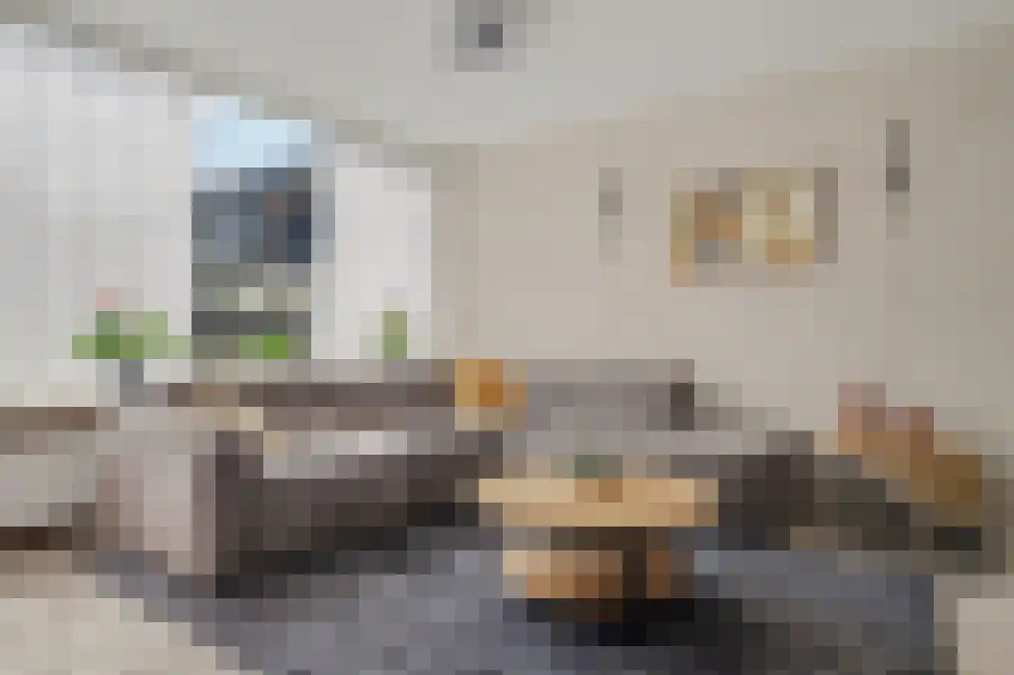 Rietgansstraat 31 Strijen thumbnail 13