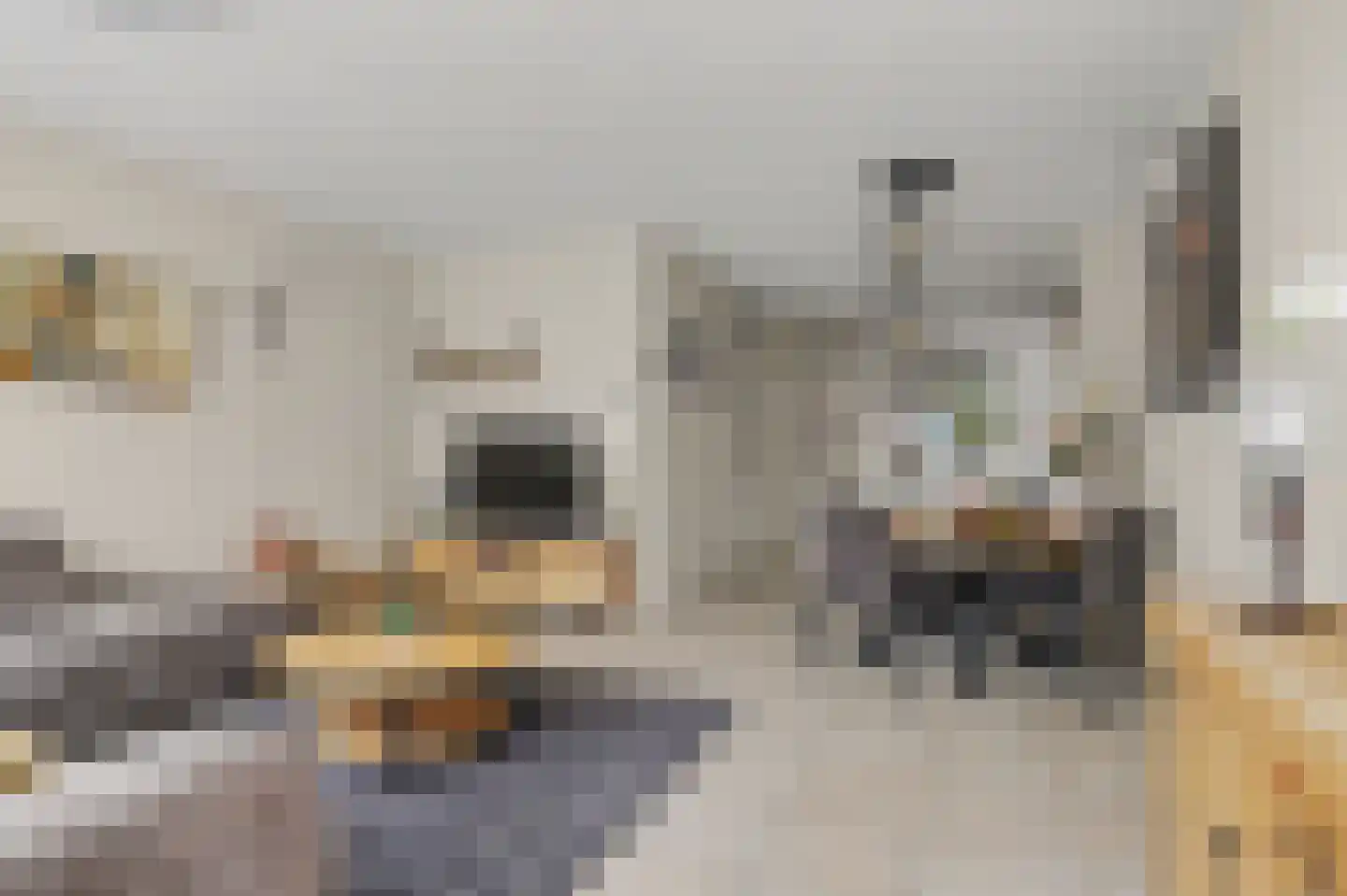 Rietgansstraat 31 Strijen thumbnail 14