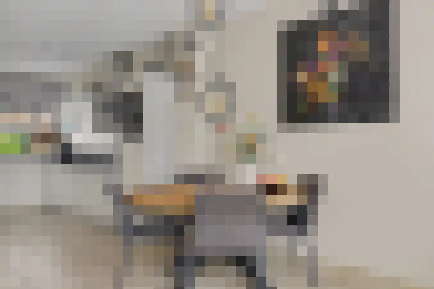 Rietgansstraat 31 Strijen thumbnail 15