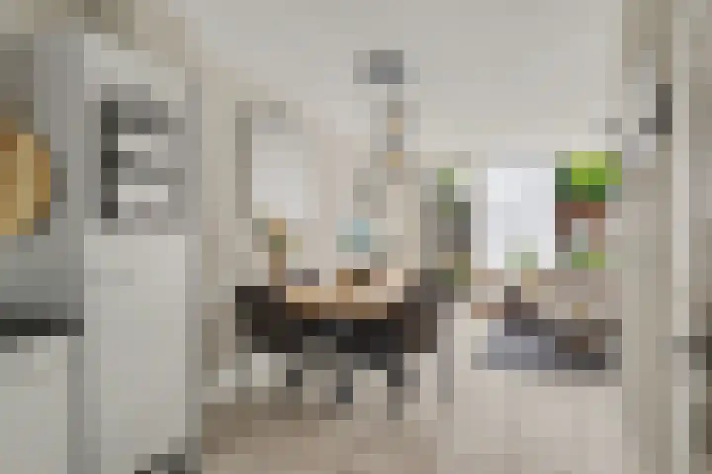 Rietgansstraat 31 Strijen thumbnail 16