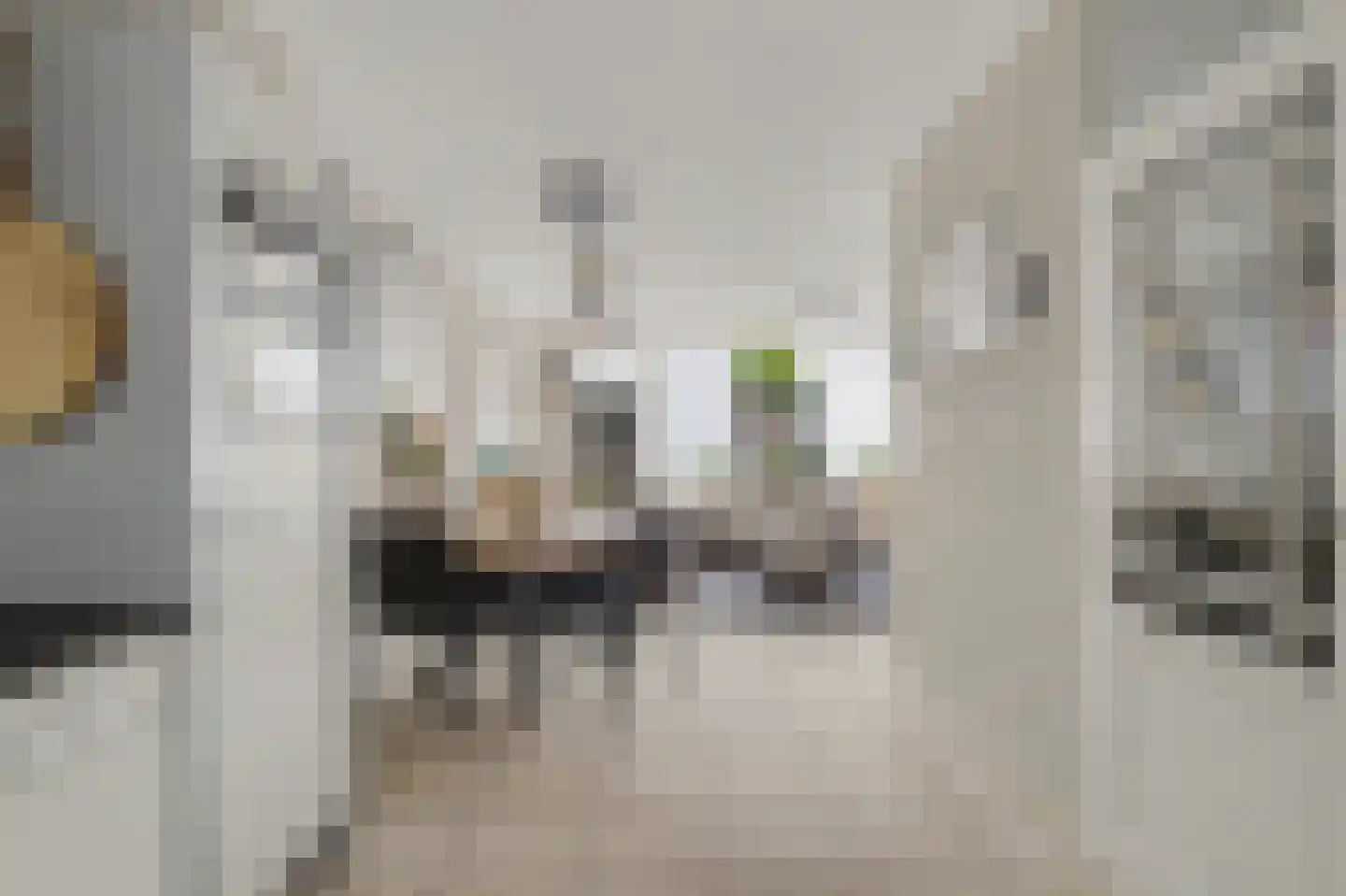 Rietgansstraat 31 Strijen thumbnail 17