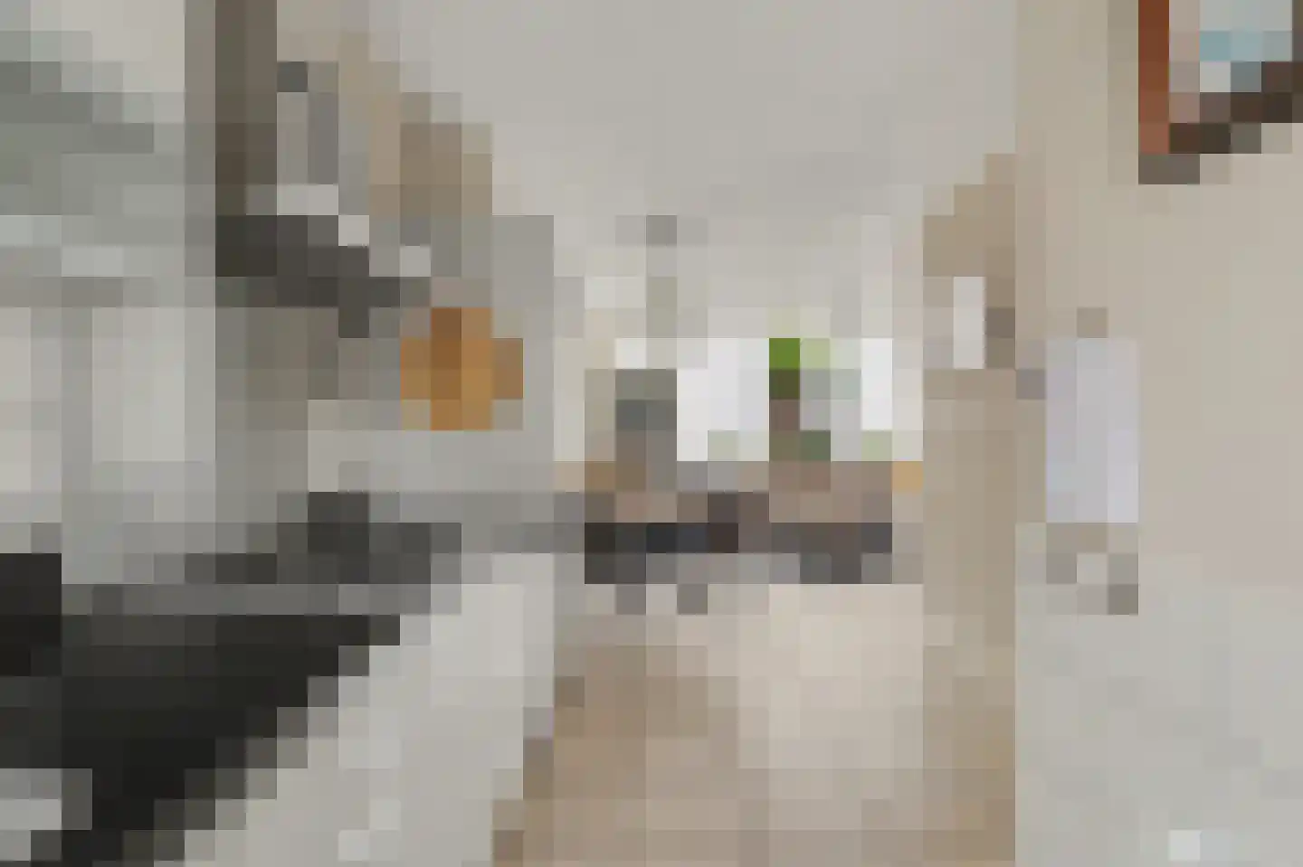 Rietgansstraat 31 Strijen thumbnail 18