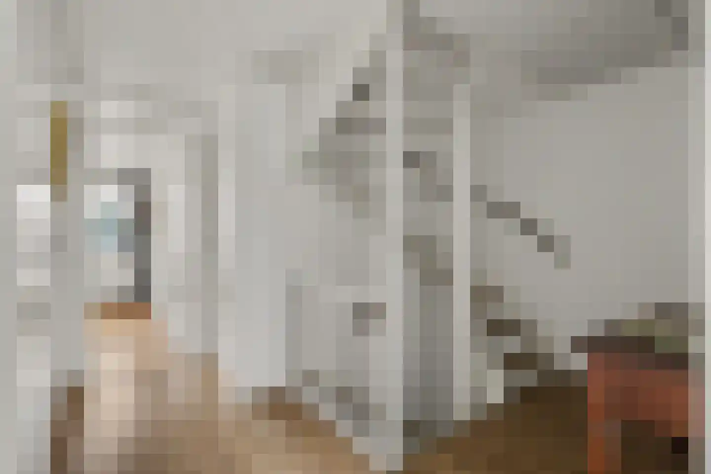 Rietgansstraat 31 Strijen thumbnail 20