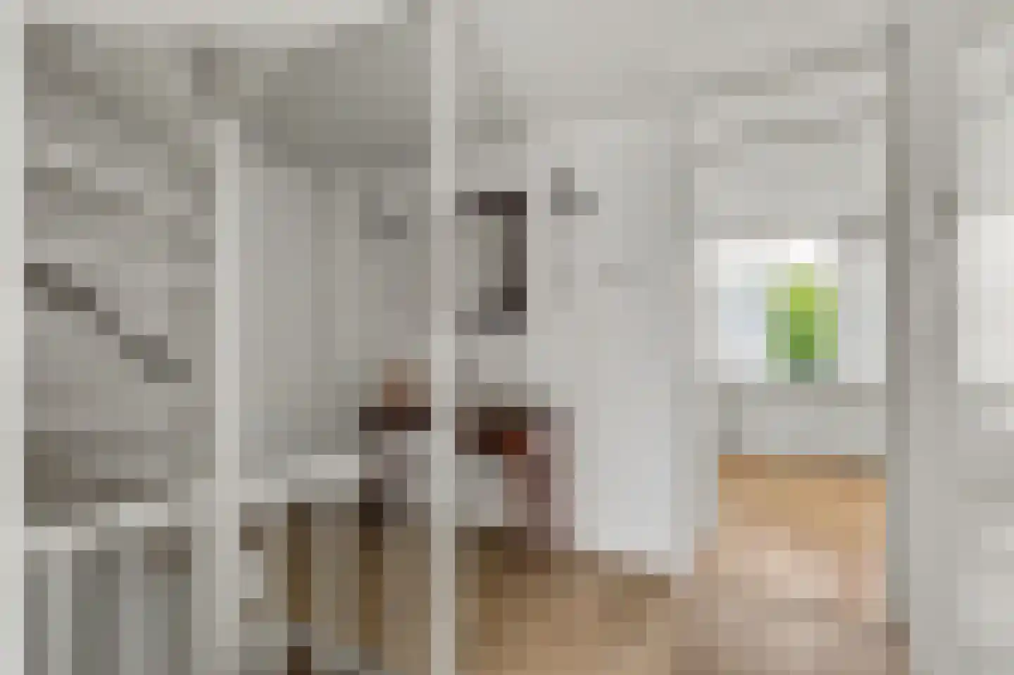 Rietgansstraat 31 Strijen thumbnail 21