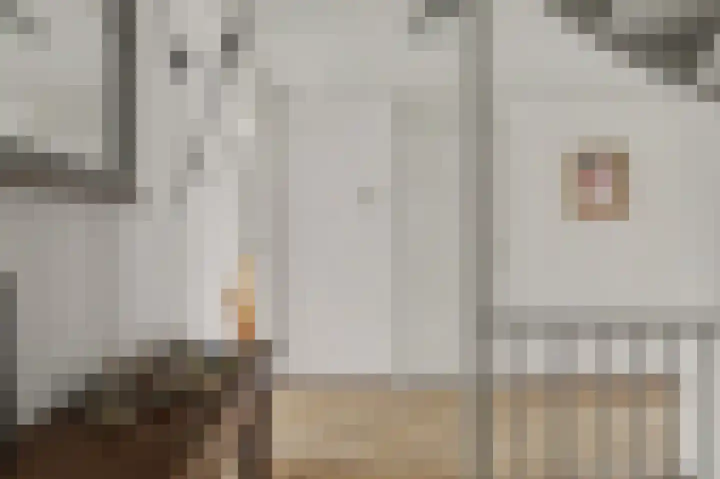 Rietgansstraat 31 Strijen thumbnail 22