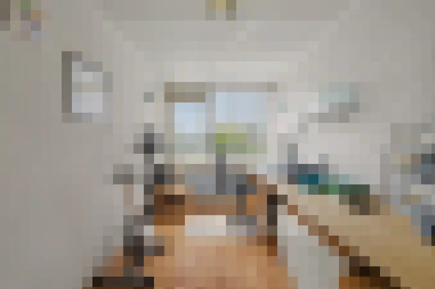 Rietgansstraat 31 Strijen thumbnail 24