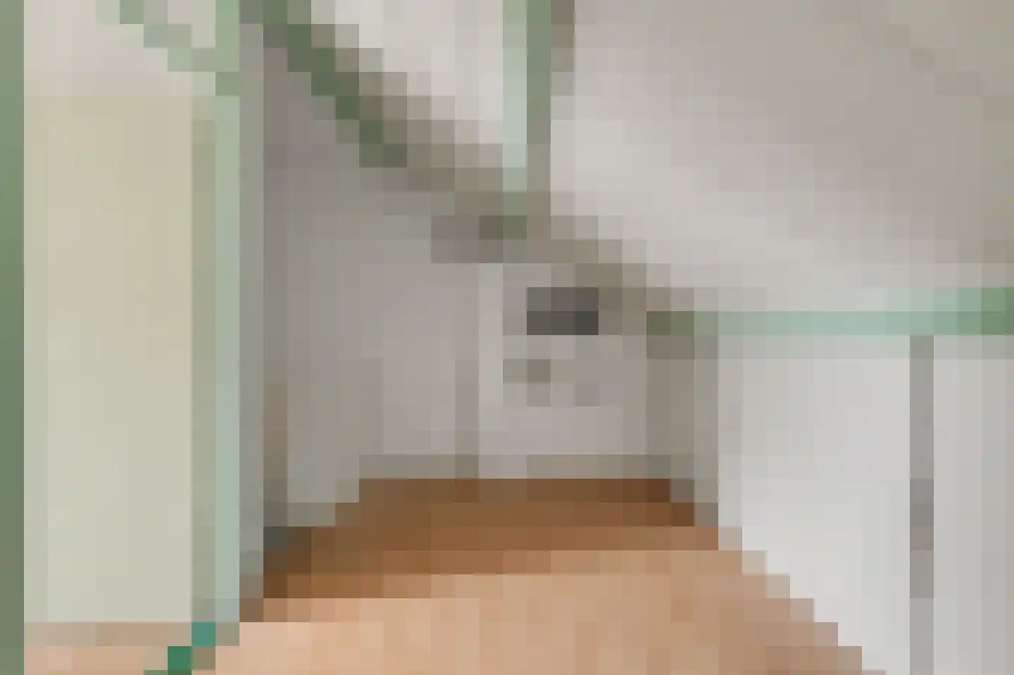 Rietgansstraat 31 Strijen thumbnail 31