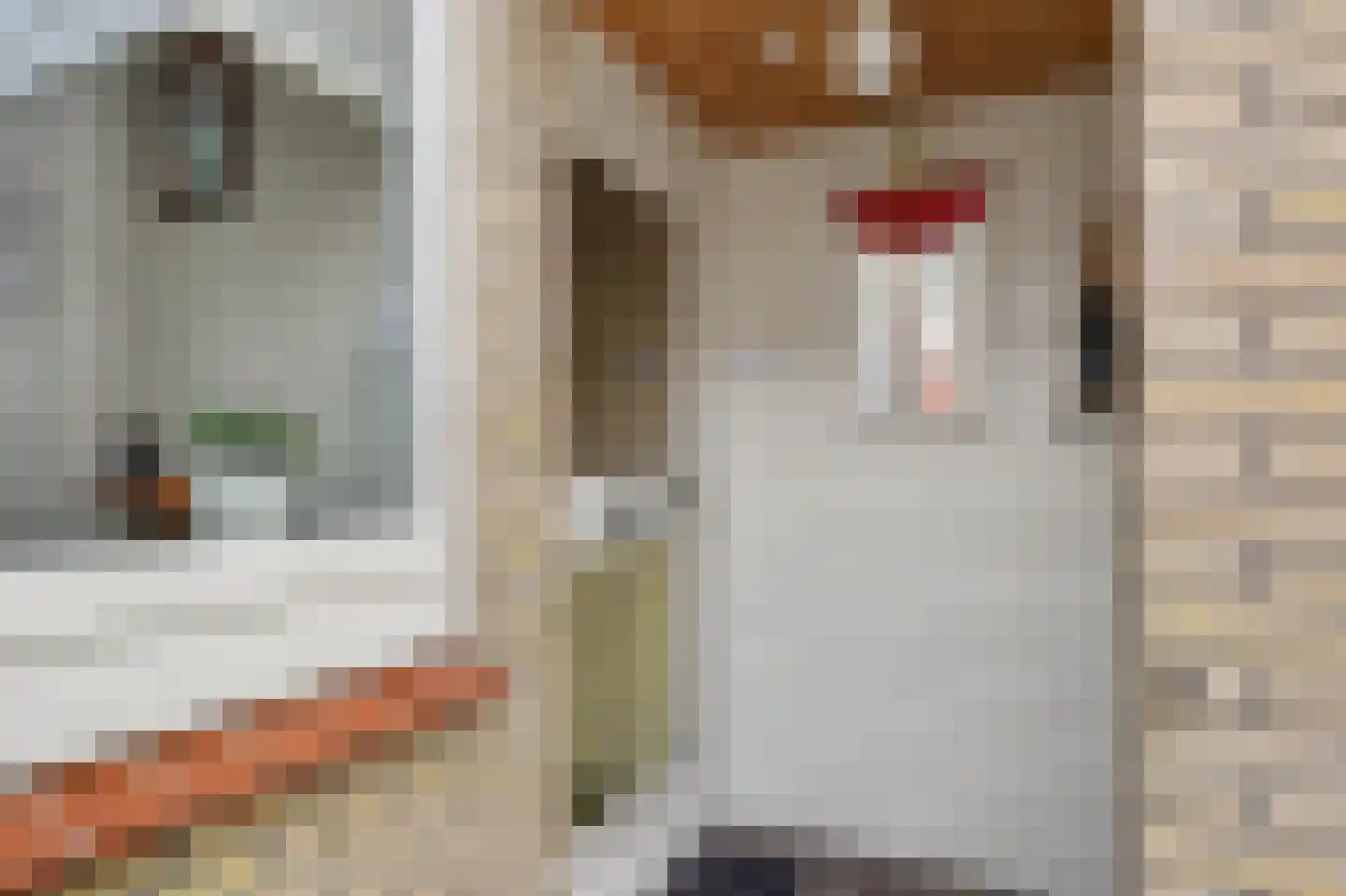 Rietgansstraat 31 Strijen thumbnail 36