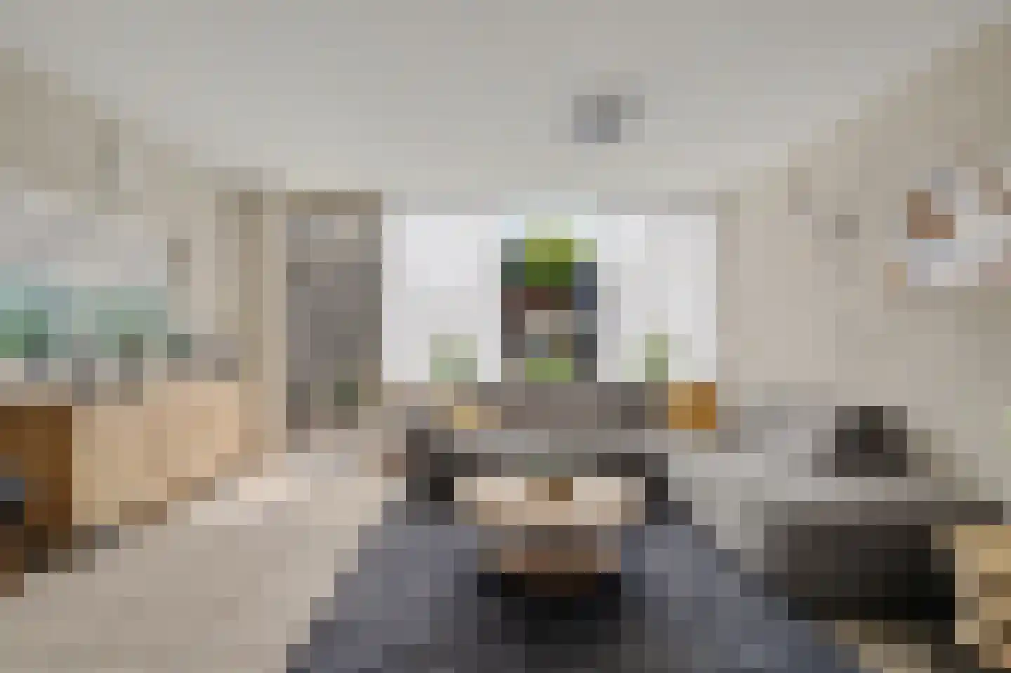 Rietgansstraat 31 Strijen thumbnail 4