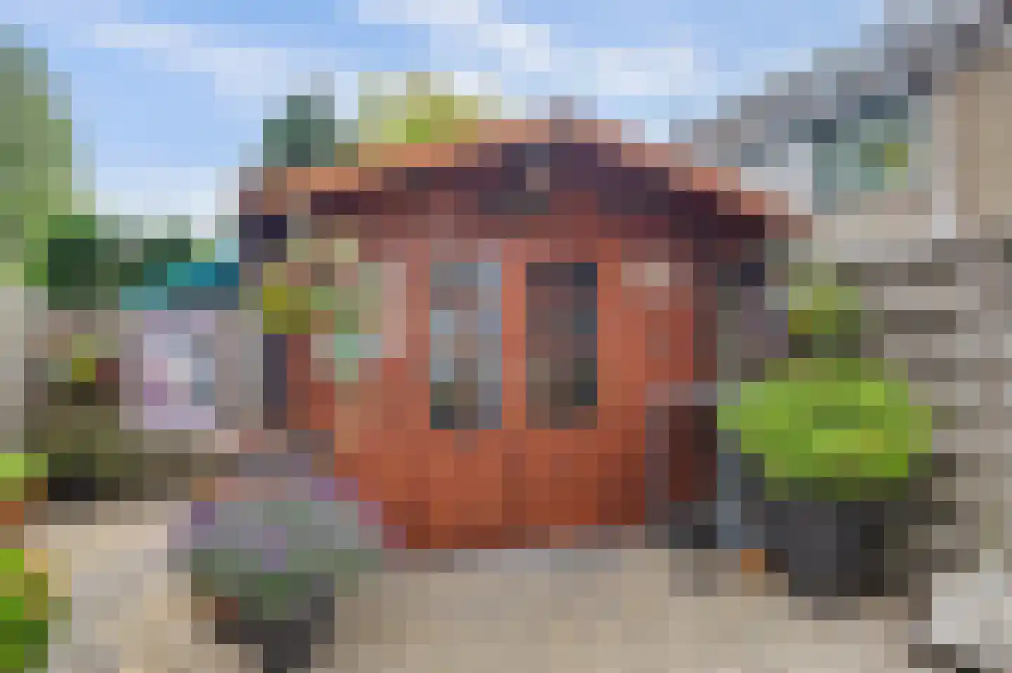 Rietgansstraat 31 Strijen thumbnail 41