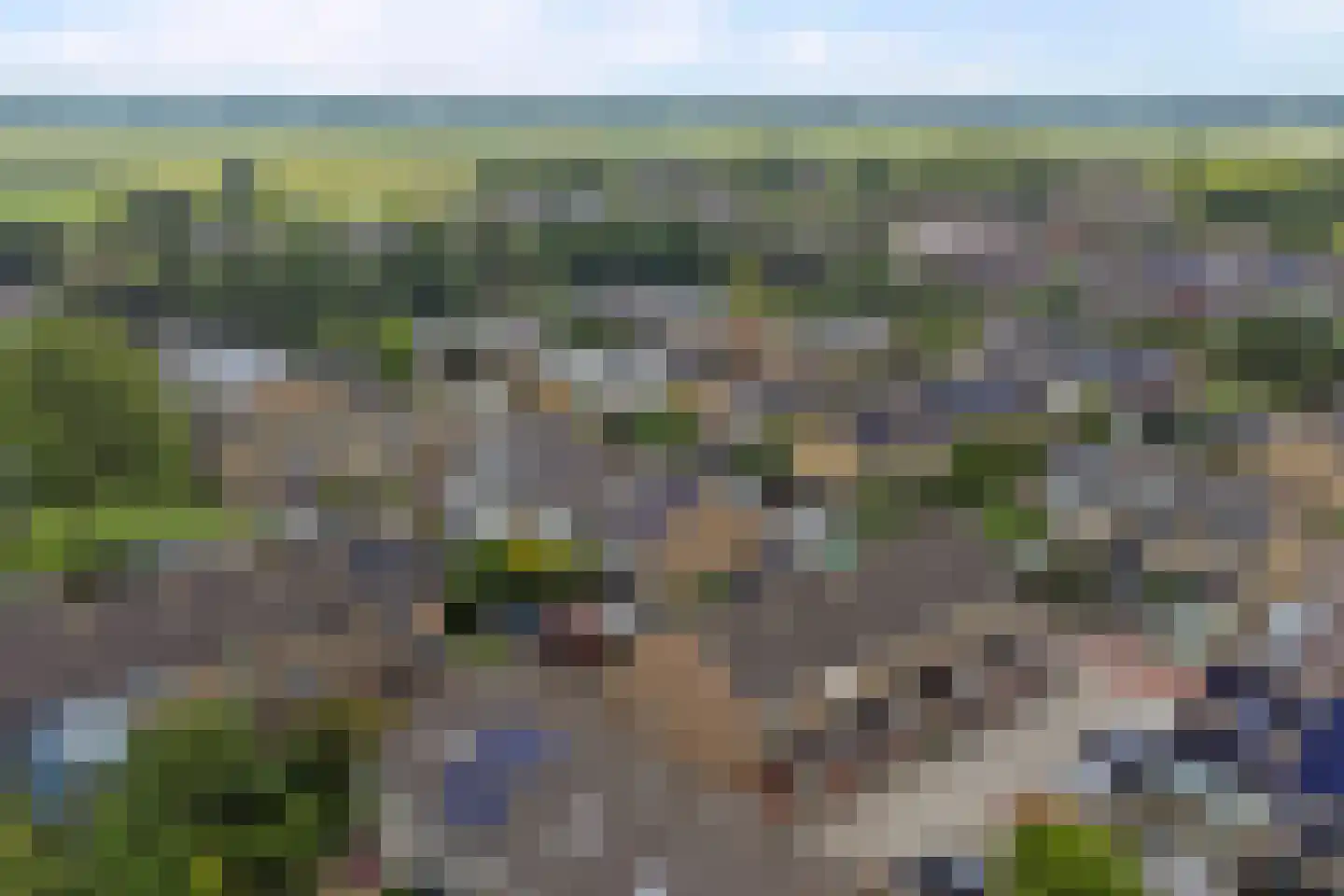 Rietgansstraat 31 Strijen thumbnail 43