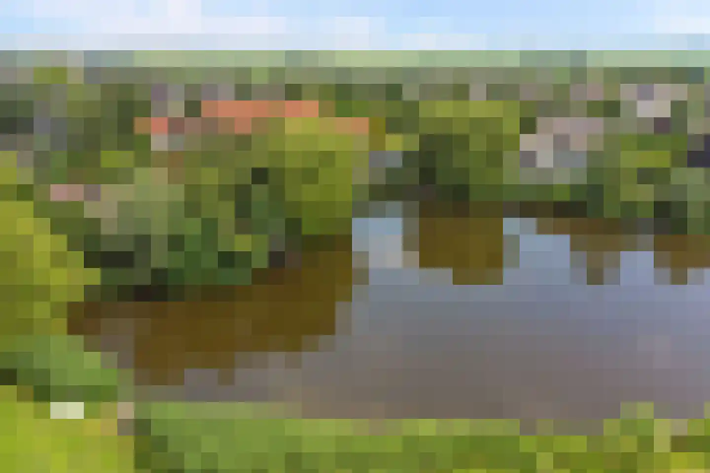 Rietgansstraat 31 Strijen thumbnail 45