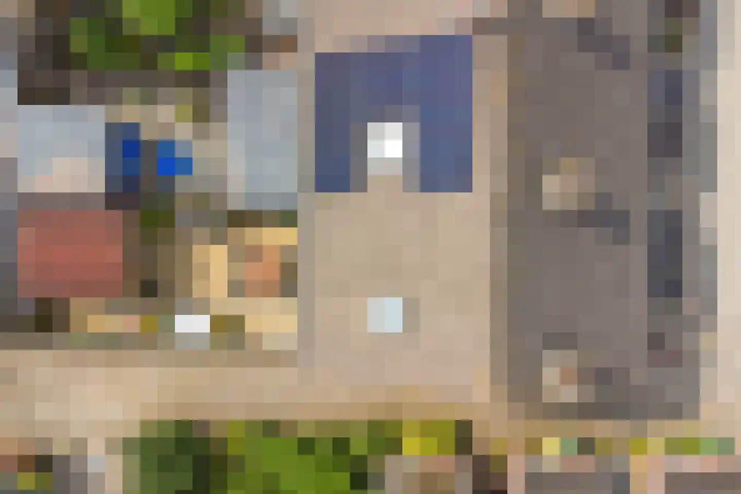 Rietgansstraat 31 Strijen thumbnail 47