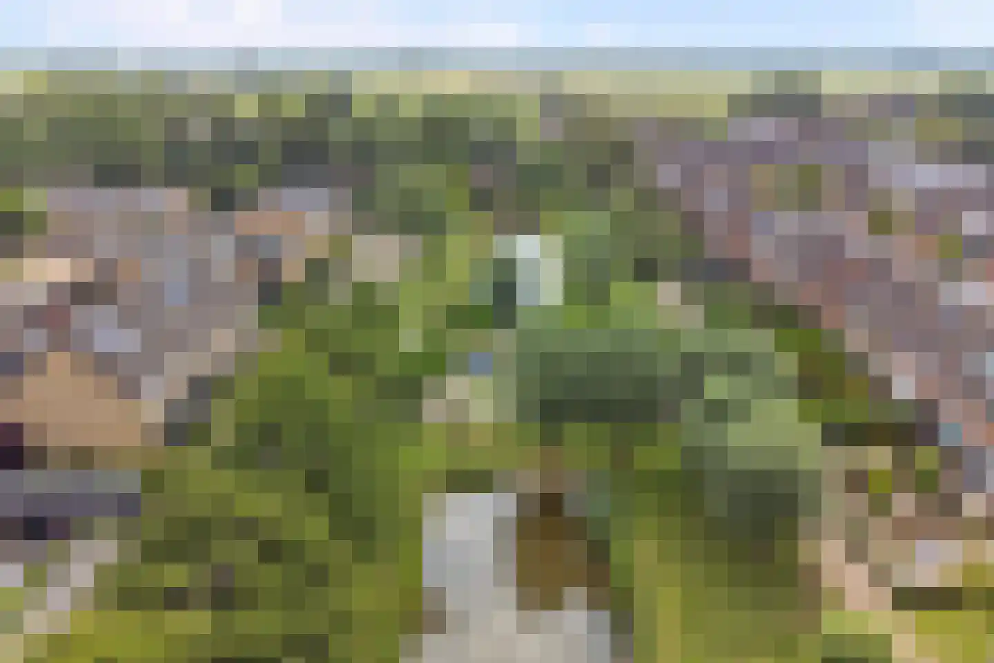 Rietgansstraat 31 Strijen thumbnail 48