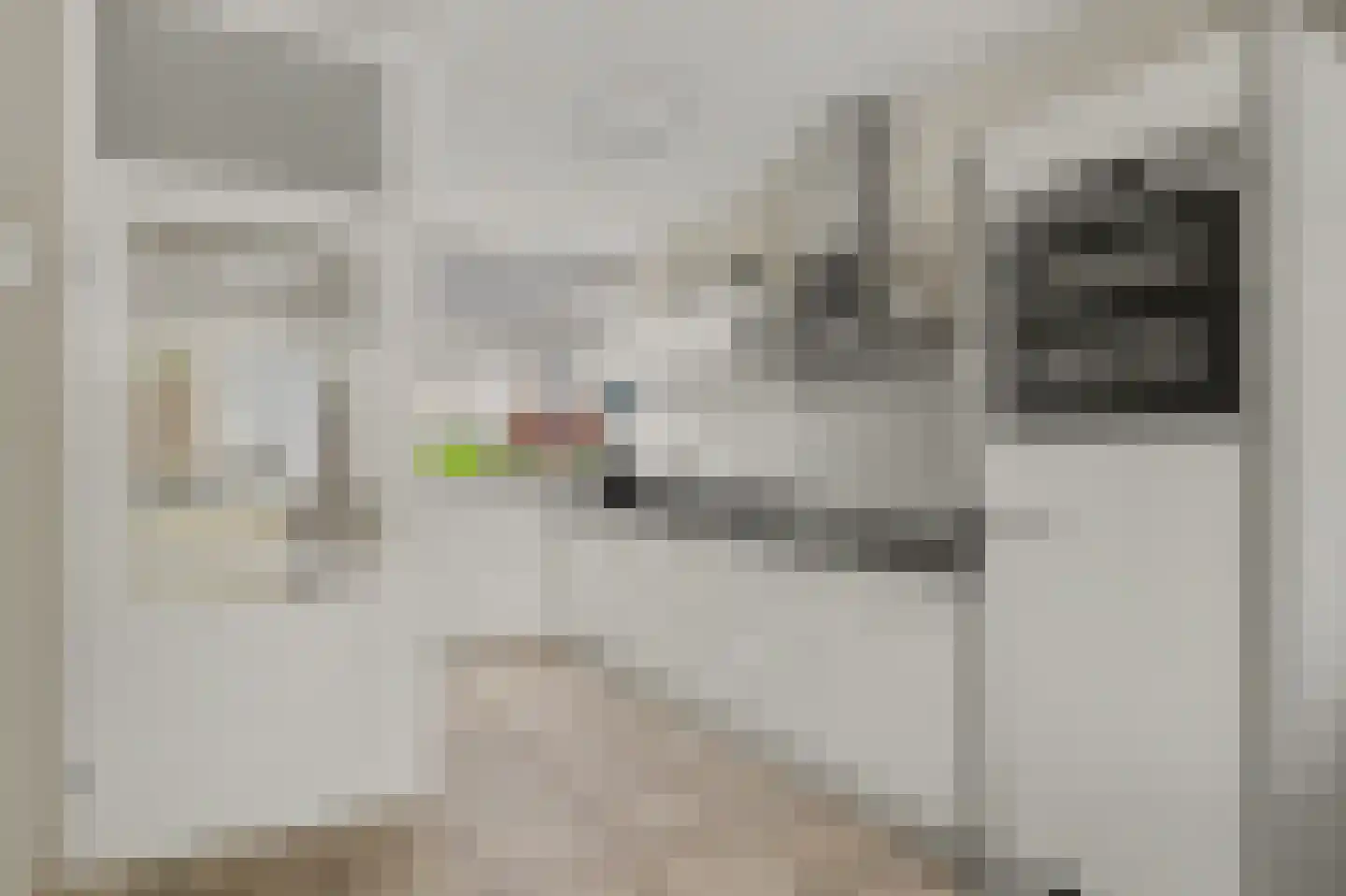 Rietgansstraat 31 Strijen thumbnail 5