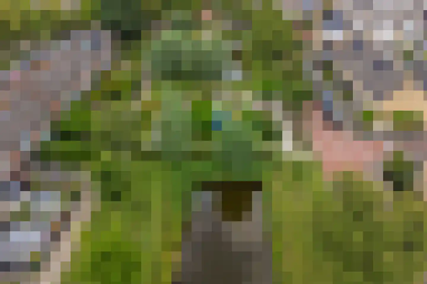 Rietgansstraat 31 Strijen thumbnail 50