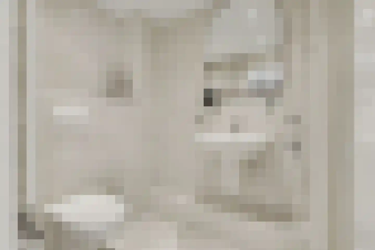 Rietgansstraat 31 Strijen thumbnail 6