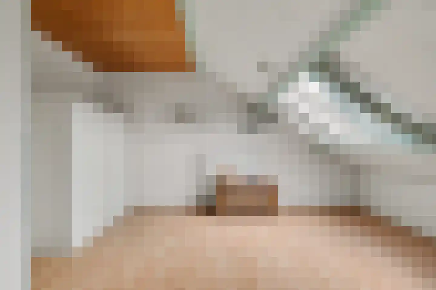 Rietgansstraat 31 Strijen thumbnail 7