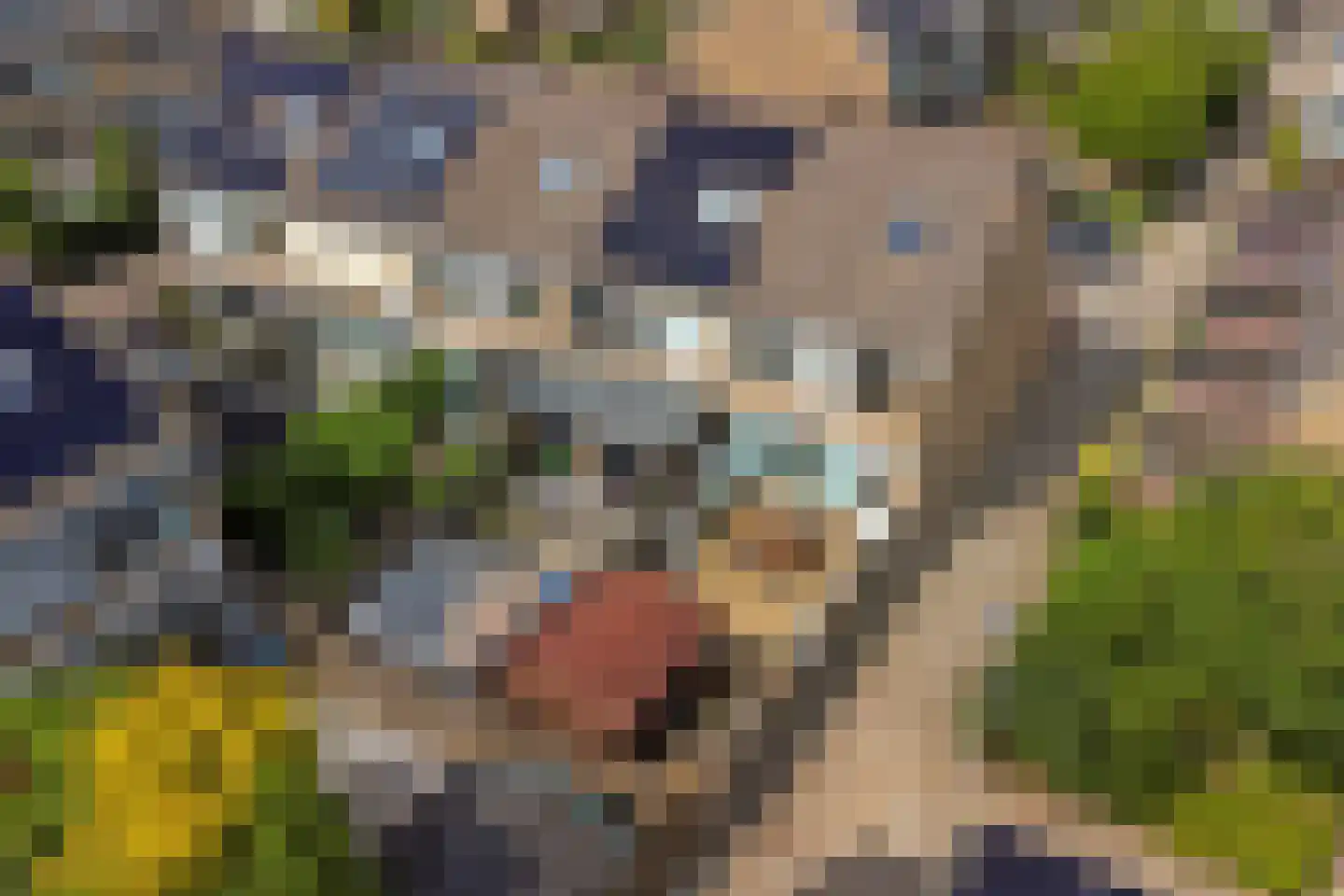 Rietgansstraat 31 Strijen thumbnail 9