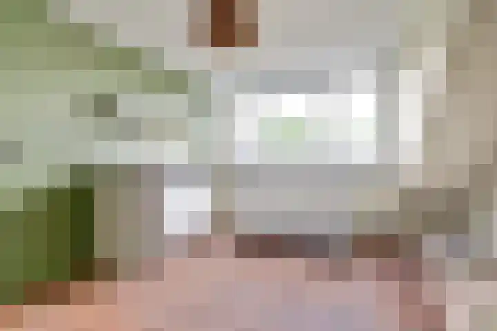 Rietgansstraat 43 Ermelo thumbnail 35