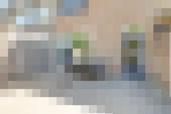 Rietgansstraat 43 Ermelo thumbnail 39