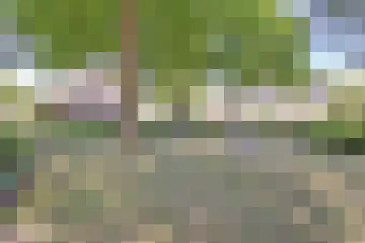 Rietgansstraat 43 Ermelo thumbnail 43