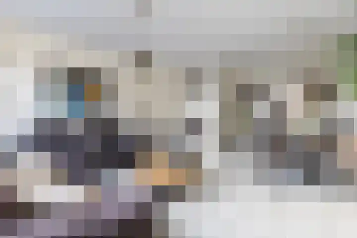 Rietgansstraat 45 Strijen thumbnail 10