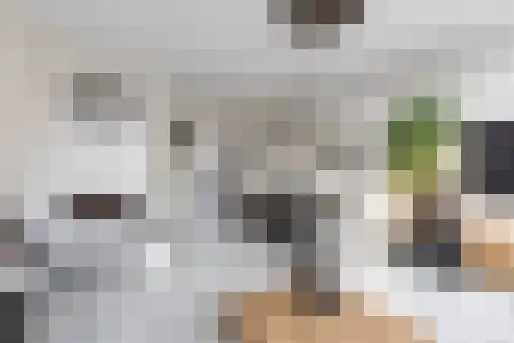 Rietgansstraat 45 Strijen thumbnail 11