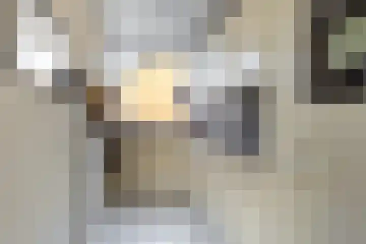 Rietgansstraat 45 Strijen thumbnail 14