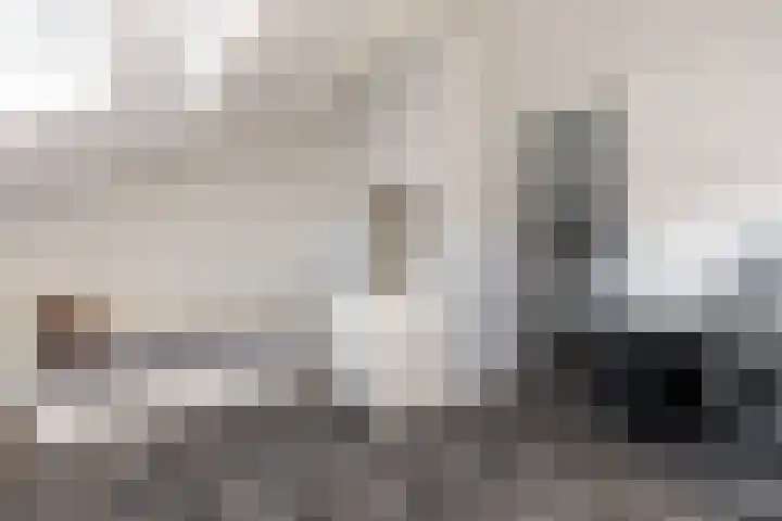 Rietgansstraat 45 Strijen thumbnail 25