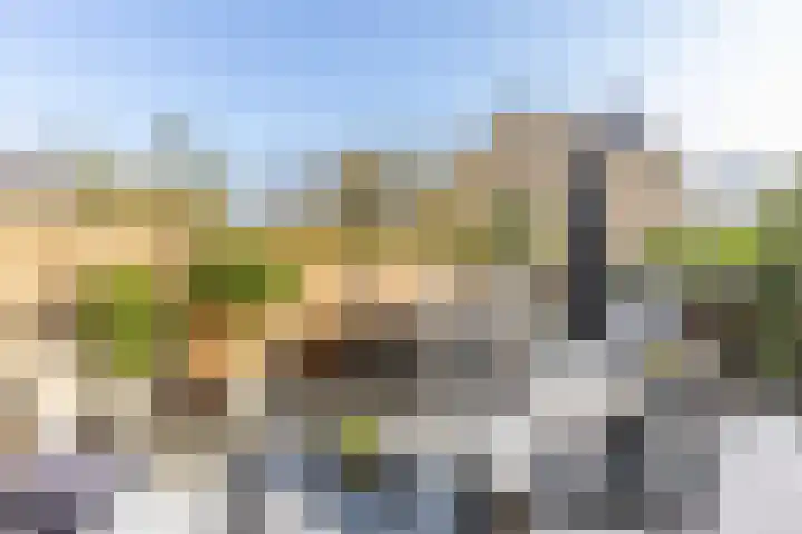 Rietgansstraat 45 Strijen thumbnail 31
