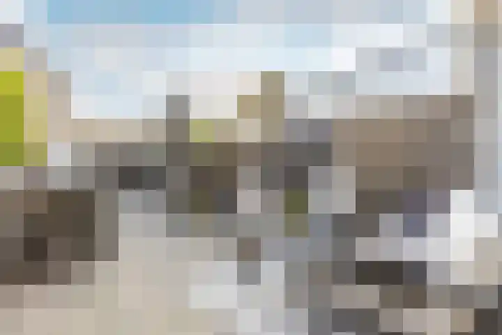 Rietgansstraat 45 Strijen thumbnail 32