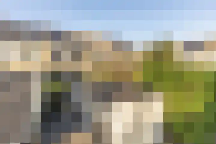 Rietgansstraat 45 Strijen thumbnail 4