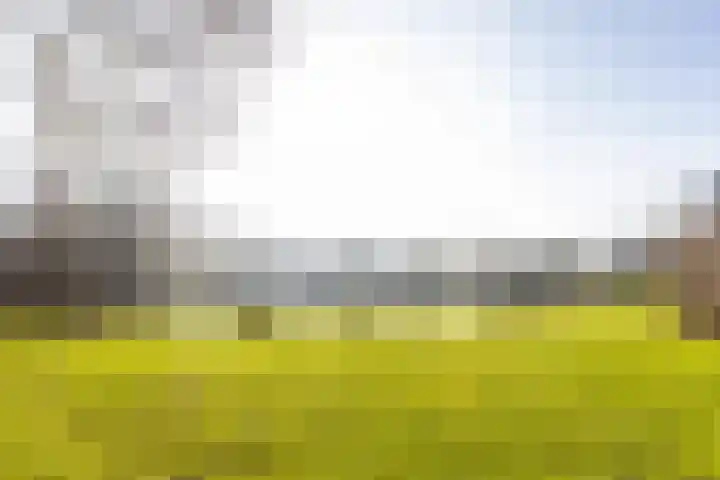 Rietgansstraat 45 Strijen thumbnail 5