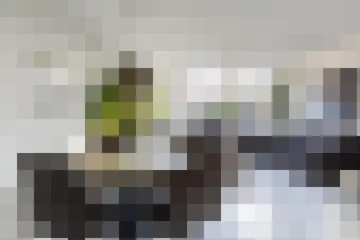Rietgansstraat 45 Strijen thumbnail 8