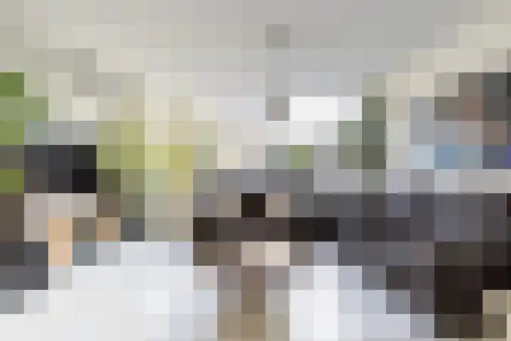 Rietgansstraat 45 Strijen thumbnail 9