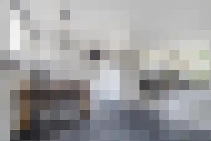 Rietgansstraat 55 Ermelo thumbnail 10